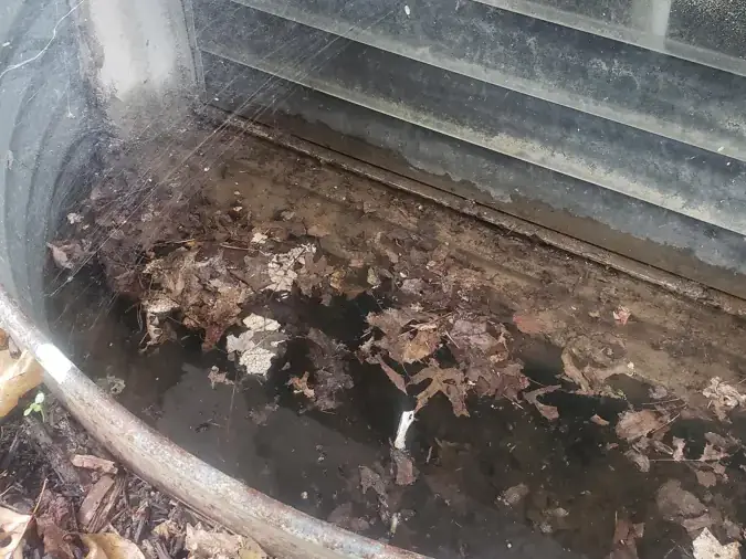 Basement window well holding rain water and leaves